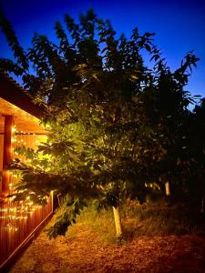 Κήπος έξω από το Red House