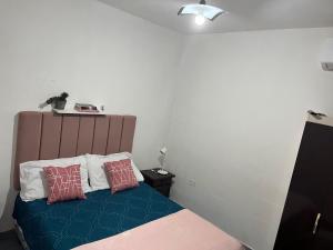 a bedroom with a bed with two pillows on it at Los Cactus in La Rioja