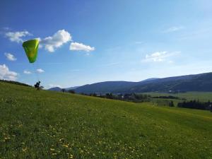 a person is flying a kite in a field at Logement cosy et jardin in Saint-Laurent-en-Royans