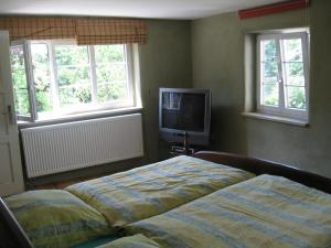 a bedroom with two beds and a tv and windows at Ferienhaus am Lech in Kaufering