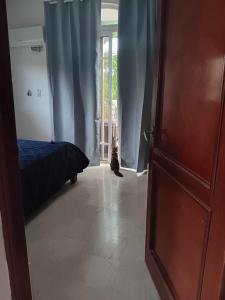 Un gato sentado en el suelo de un dormitorio. en Juan Dolio,Beach, Pool, 40"TV , Optic Internet, Relax, en Villas del Mar