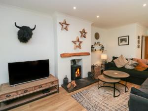 a living room with a tv and a fireplace at Underheron in Grasmere