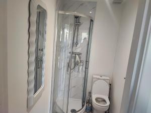 a bathroom with a shower and a toilet at CNN House in Peacehaven