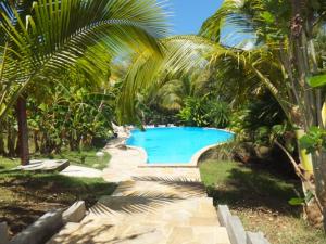 圣安尼Gwada Rêves的棕榈树花园内的游泳池