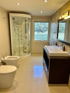 Un baño con inodoro, lavabo y ducha. en Tobiano Tempo, en Esquel