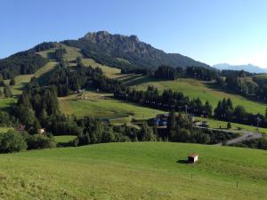 a green hillside with a barn in the middle of a field at Bergquell Tirol in Jungholz +18 photos