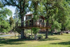 a tree house in the middle of a tree at Hawk's Rest in Oakhurst