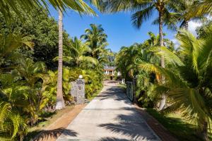 un chemin bordé de palmiers devant une maison dans l'établissement Aloha Aku CoCoPalm2 Suite - Your Cozy Beachfront Escape, à Kihei