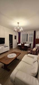 TV a/nebo společenská místnost v ubytování Saska apartment
