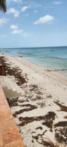 Afbeelding uit fotogalerij van Condominios Orca in Progreso