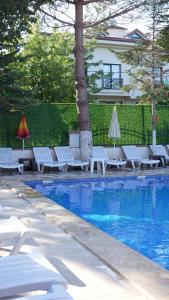 einen Pool mit Liegestühlen und einem Baum und einem Gebäude in der Unterkunft BUTTERFLY BOUTIQUE HOTEL AĞVA in Sile