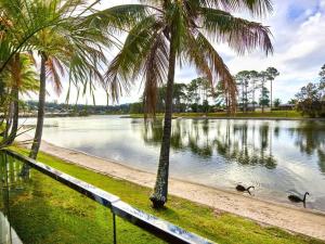 ゴールドコーストにあるElanora 3 bedroom apartmentのギャラリーの写真