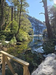 un banc assis à côté d'une rivière dans une forêt dans l'établissement Departamento en Pucón con buena ubicación, à Pucón