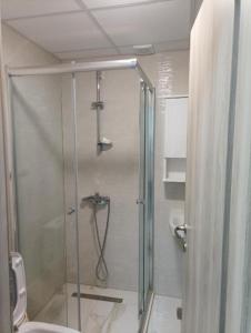 Gallery image of Shuleski Apartments in Ohrid