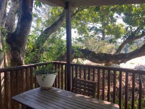 un vaso seduto su un tavolo di legno su un portico di Potters Cottage a Bellingen