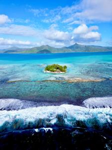 PatioEDEN Private Island TAHAA的水体中间的一个岛屿