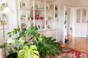 Gambar di galeri bagi 'Ripponlea' Inistioge, stunning countryside home di Inistioge