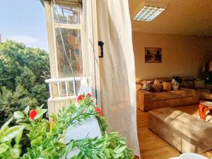 Гостиная зона в Garden City Apartment in Downtown Cairo