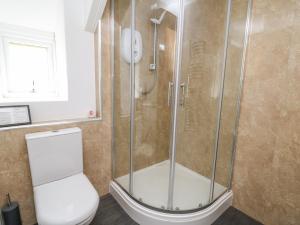 a bathroom with a shower and a toilet at Fisherman's Cottage in Llandysul +15 photos
