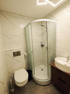 カウナスにあるCozy Noko Apartmentsのシャワー、トイレ、洗面台を備えたバスルーム +11枚の写真