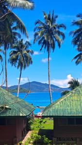 a view of the ocean and palm trees at The View - Jungle Lodges - Port Barton in San Vicente +20 photos