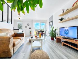 TV a/nebo společenská místnost v ubytování Le Costour beau T3 avec balcon et vue verdoyante