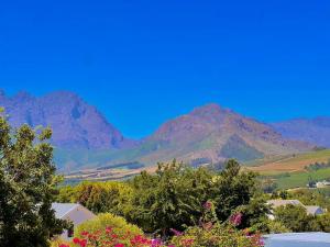 Billede fra billedgalleriet på Franschhoek Three Bedroom Cottage On Dirkie Uys i Franschhoek