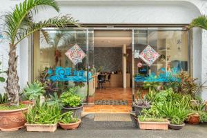 Garður fyrir utan Kenting Shen's Homestay