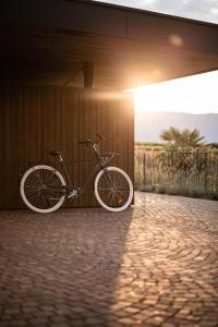 Attività di ciclismo presso l'hotel o nelle vicinanze