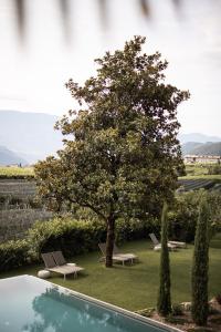 Piscina di Das Wanda o nelle vicinanze