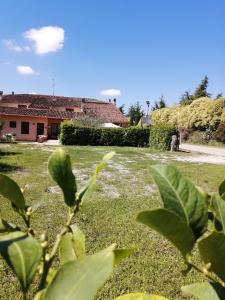 Κήπος έξω από το Agriturismo Nuvolino