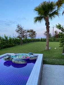 Zahrada ubytování FUN Style Homestay