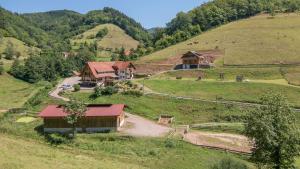 Příroda nedaleko apartmánu