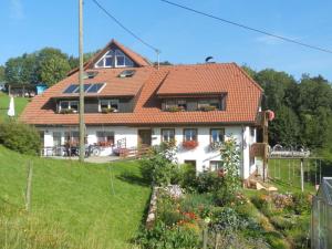 a house with a red roof on a hill at Ferienwohnung Schwalbennest in Höchenschwand