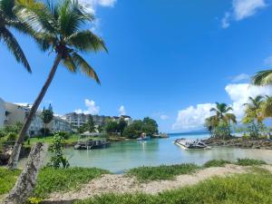 a palm tree and a river with boats on it at Studio vue mer, pieds dans l'eau in Le Gosier