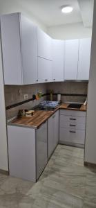Kuchyň nebo kuchyňský kout v ubytování Apartman Vuk Zlatar