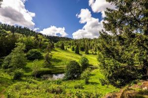 a green hill with a pond in a field with trees at Haus Am Bühl in Schönau im Schwarzwald