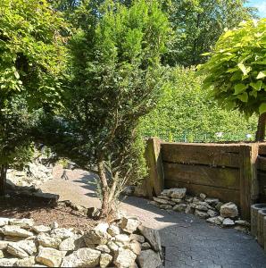 ein kleiner Baum in einem Garten mit Felsen in der Unterkunft Auszeit am Tönsberg Oerlinghausen Teutoburger Wald in Oerlinghausen + 14 Fotos