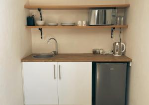 Una cocina con encimera con fregadero y microondas. en Molenhof, en Somerset East