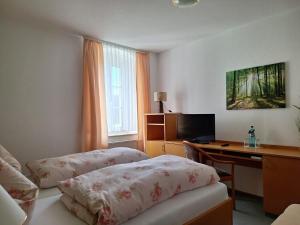 TV a/nebo společenská místnost v ubytování Hotel Heilbrunnen