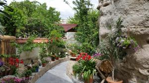 Zahrada ubytování Anatolia cave hotel Pension