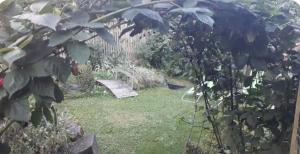 a bird standing in the grass in a garden at Kersti's in Burkardroth
