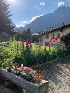 a garden with colorful flowers in a stone planter at Familienwohnung Epomeo Surlej in Surlej +4 photos