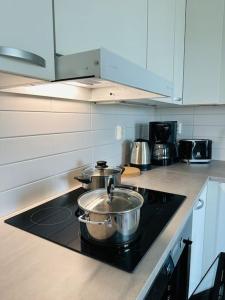 Aurora Home Espoo Niittykumpu - New 1bedroom -apartment with balcony, close to metro, Aalto University, Metro Areena and Helsinki的厨房或小厨房