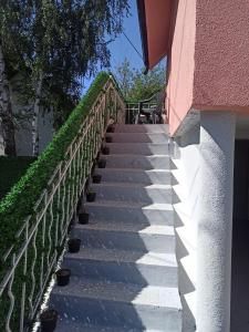 Billede fra billedgalleriet på Beograd Oaza, Palilula i Krnjača