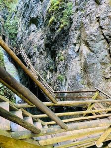 Paesaggio naturale nelle vicinanze dell'appartamento