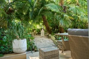 Zahrada ubytování Habitación oasis