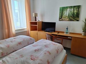 TV a/nebo společenská místnost v ubytování Hotel Heilbrunnen
