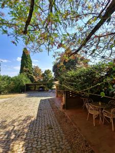 Сад в Casa dei Sogni - Boutique House +35 фотографий