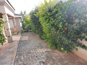a stone walkway next to a building with a hedge at The Star B&B in Jwaneng